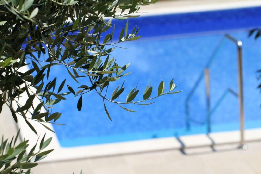 Premantura Olive Garden Villa Ngoại thất bức ảnh